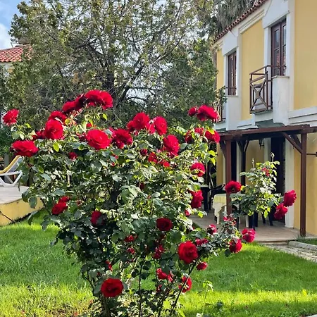 Hotel Alisa
