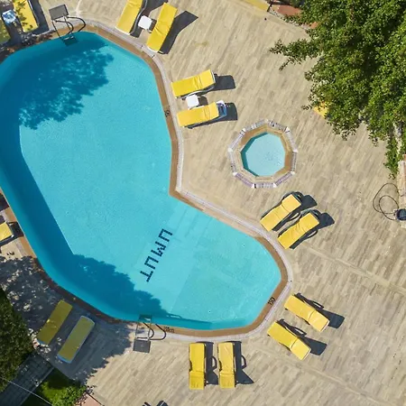 Alisa * 费特希耶