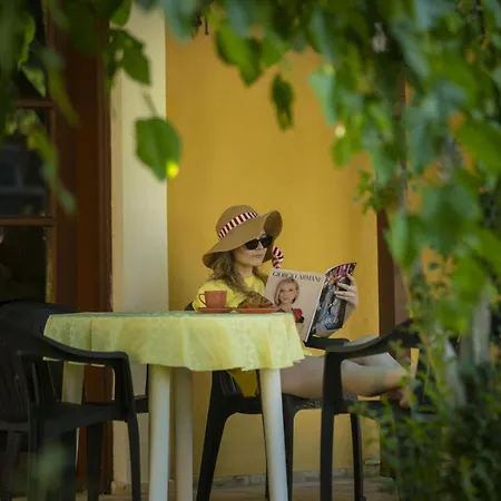 Alisa フェティエ