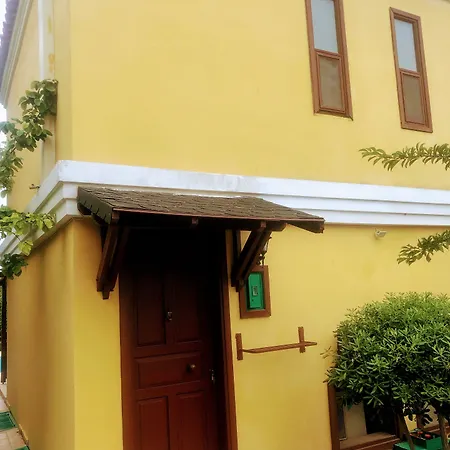 Alisa フェティエ